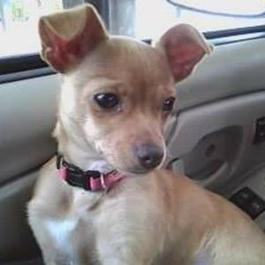 Meet your Posher, Sheena